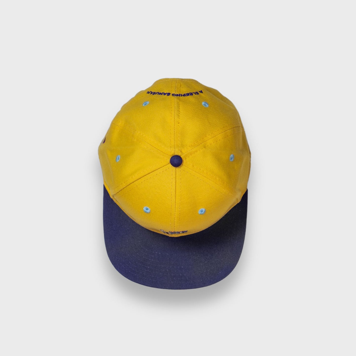 A Sleeping Samurai 1973 College Skateboard Cap Top View